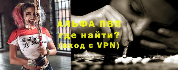 сатива Баксан