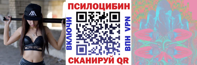 Псилоцибиновые грибы Psilocybe  Тутаев 